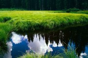 世界体能恢复公益课堂乡镇课程包第29版应用反馈公布，体能世界纪录